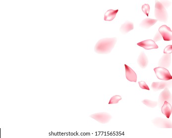 Apricot flower flying petals isolated on white. Beautiful beauty salon background. Japanese sakura petals seasonal confetti, blossom elements flying. Falling cherry blossom flower parts design.