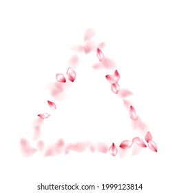 Apricot flower flying petals isolated on white. Natural beauty salon background. Japanese sakura petals seasonal confetti, blossom elements flying. Falling cherry blooming flower parts design.