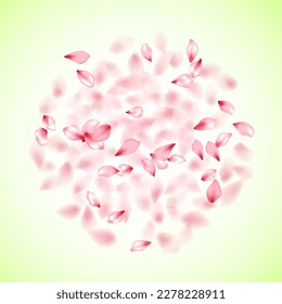 Apricot flower flying petals isolated on white. Stylish beauty salon background. Japanese sakura petals spring confetti, blossom elements flying. Falling cherry bloom flower parts design.
