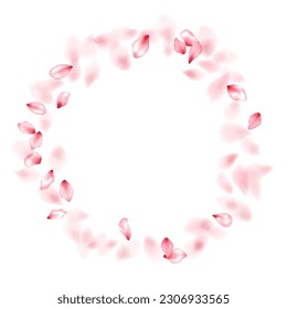 Apricot flower flying petals isolated on white. Modern beauty salon background. Japanese sakura petals seasonal confetti, blossom elements flying. Falling cherry blooming flower parts design.