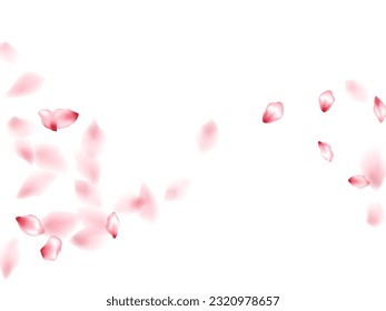Apricot flower flying petals isolated on white. Tender floral background. Japanese sakura petals springtime confetti, blossom elements flying. Falling cherry blooming flower parts design.