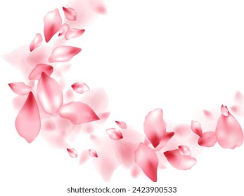 Apricot flower flying petals isolated on white. Elegant floral background. Japanese sakura petals springtime confetti, blossom elements flying. Falling cherry blooming flower parts vector.