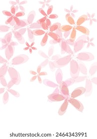 Apricot flower flying petals isolated on white. Spring petals pink flowers.