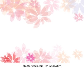 Apricot flower flying petals isolated on white. Japanese sakura petals spring confetti.
