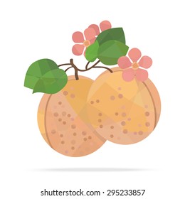 Apricot with flowers