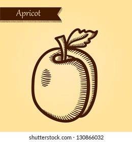 Apricot, fresh fruits. Retro style. Easily editable vector. Vegetable on the yellow retro background. Isolated vector.
