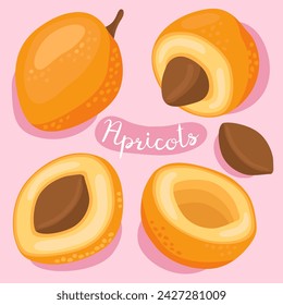 Apricot. Fresh apricot, apricot half, slices and seed. Summer fruit. Healthy and organic food. 