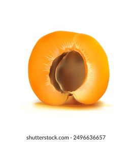 Apricot. Fresh, nutritious, delicious Apricot. A delicious and healthy dessert. Elements for label design. Fruit ingredients in mesh technique. Vector illustration.