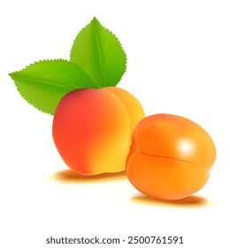 Apricot. Fresh, nutritious, delicious Apricot. A delicious and healthy dessert. Elements for label design. Fruit ingredients in mesh technique. Vector illustration.