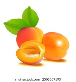 Apricot. Fresh, nutritious, delicious Apricot. A delicious and healthy dessert. Elements for label design. Fruit ingredients in mesh technique. Vector illustration.