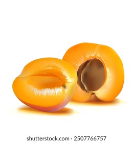 Apricot. Fresh, nutritious, delicious Apricot. A delicious and healthy dessert. Elements for label design. Fruit ingredients in mesh technique. Vector illustration.