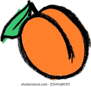 Apricot Fruit Crayon Chalk Drawing Colorful Vector