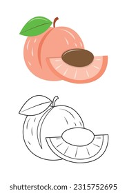 Apricot fruit cute vector illustration cartoon isolated on white background. Apricot fruit vector colored and colorless. Cute coloring page for kids. 