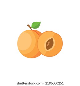 Apricot Fruit Flat Design Vector Illustration Isolated on a White Background.