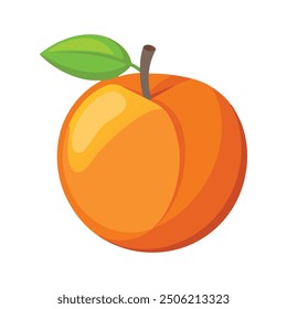 Apricot Fruit flat vector illustration on white background