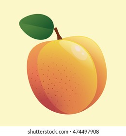 Apricot Fruit Flat Vector Illustration