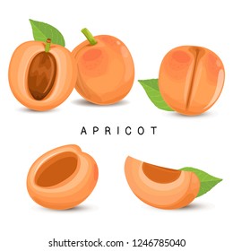 Apricot Fruit Fresh