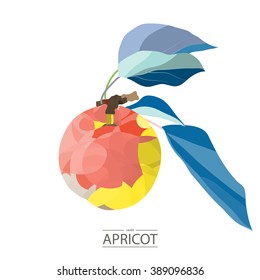 Apricot. Fruit in a geometric style. 3d image. It can be used for printing on T-shirts, bags, or as a logo