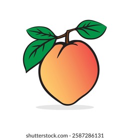Apricot fruit high quality digital art.