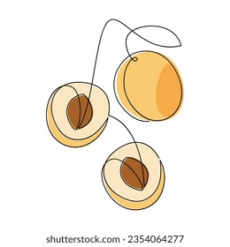 Apricot fruit icon. Line continuous hand drawn illustration. Abstract drawing. Garden plant. Minimal linear silhouette. Minimal design, outline print, banner, card, brochure, logo, menu, sign.
