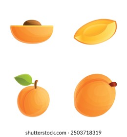 Apricot fruit icons set cartoon vector. Fresh fruit. Healthy nutrition