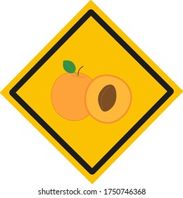 apricot fruit. illustration for web and mobile design.