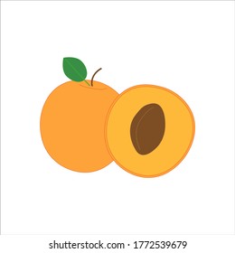apricot fruit. illustration for web and mobile design.