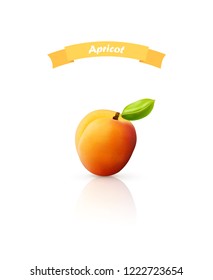 Apricot fruit isolated on white background. Peach with leaves, for package design etc. Realistic vector illustration.