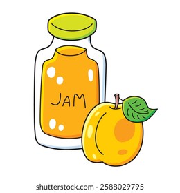 Apricot fruit and a jam jar isolated vector illustration