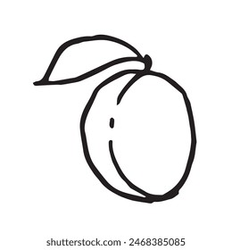 Apricot fruit with leaf hand drawn vector illustration on isolated white