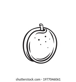 Apricot fruit outline vector icon, drawing monochrome illustration. Healthy nutrition, organic food, vegetarian product.