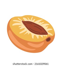 Apricot fruit, ripe garden plant whole and half piece with stem and kernel. Juicy natural healthy farm fruit, organic production. Vector cartoon illustration isolated on white background