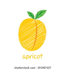 apricot fruit, sketch design vector