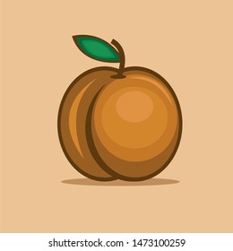 Apricot İllustration, fruit vector art