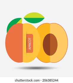 apricot, fruit vector illustration