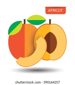 Apricot, fruit vector illustration