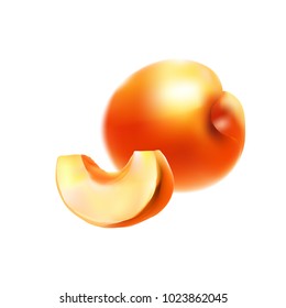 apricot fruit vector illustration logo 3d realistic