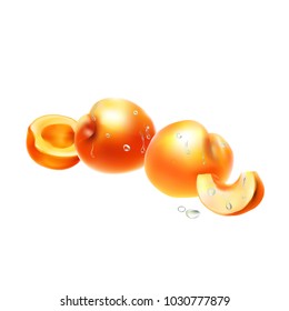 apricot fruit vector illustration logo 3d realistic set drop water