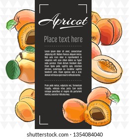 apricot  fruit vector menu design templates. Vector fruit illustration with hand drawn doodles for greeting card, banner	