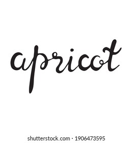 Apricot fruit vector sketch. Lettering of the word "apricot" Black and white outline. Hand drawn fruit illustration for greeting cards, posters, recipe, culinary design. Isolated on white background. 