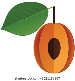 Ícone de nectarina madura do vetor de frutas de damasco