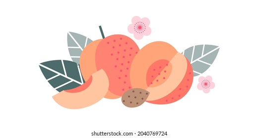 Apricot fruits. Flat illustration. Whole and cut fruits, pit, leaves and flowers.