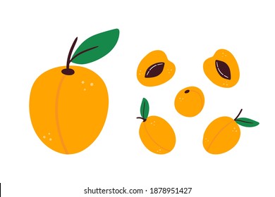 Apricot fruits with leaves cartoon style vector set, collection. Food icons, illustration.