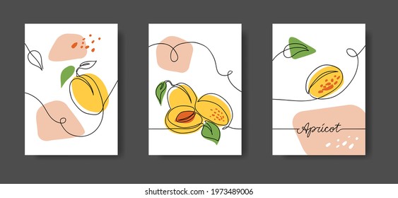 Apricot fruits, wall line art decor. Set of vector illustrations, one continuous line decoration of apricots for kitchen or cafe.