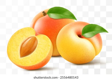 Apricot fruits whole and half with pit isolated on transparent background. Concept of healthy food, vegetarian dieting. Realistic 3d vector illustration.