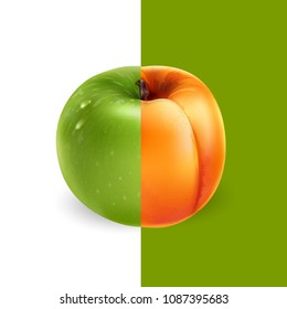 Apricot and green apple. Vector illustration