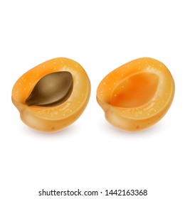 The Apricot and half apricot realistic fruit set isolated on white background. Vector EPS 10 illustration