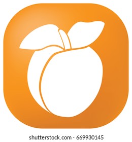 Apricot icon