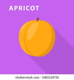 Apricot icon. Flat illustration of apricot vector icon for web design