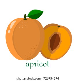 Apricot icon in flat style. Isolated object, logo. Fruit from the farm. Organic food. Vector illustration.